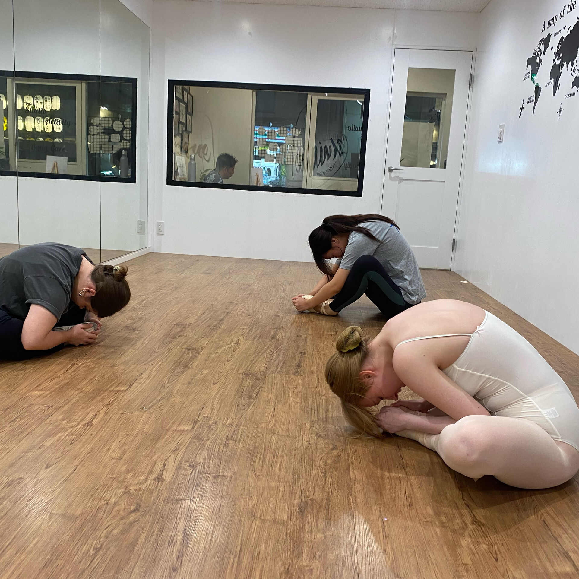 Adult Ballet Classes 🩰