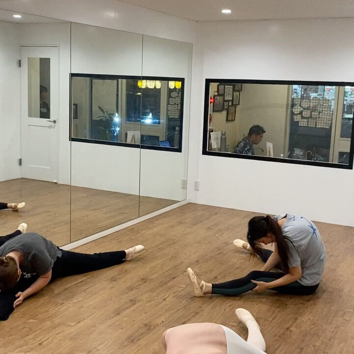 Adult Ballet Classes 🩰